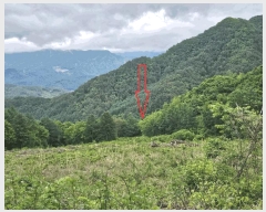  2025Ÿ��30459 ���� ��â�� ��ȭ�� ��ȹ̸� ��579      ����(�Ӿ�)���