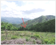  2025Ÿ��30459 ���� ��â�� ��ȭ�� ��ȹ̸� ��579      ����(�Ӿ�)���