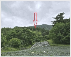  2025Ÿ��30459 ���� ��â�� ��ȭ�� ��ȹ̸� ��579      ����(�Ӿ�)���