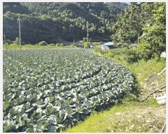  2025Ÿ��30516 ���� ��â�� ��ȭ�� �Ͼȹ̸� 119      ����(��1)���