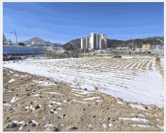  2025Ÿ��80 ���� ��â�� ���θ� ������ 1310-1      ����(��1)���