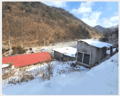  2025Ÿ��110  ���ð��