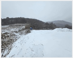  2025Ÿ��141  �����