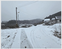  2025Ÿ��141  �����