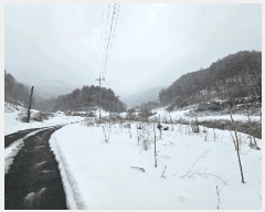  2025Ÿ��141  �����