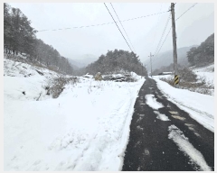  2025Ÿ��141  �����