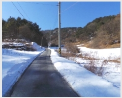  2025Ÿ��141  �����