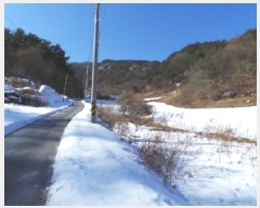  2025Ÿ��141  �����