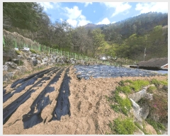  2025Ÿ��165  ���ð��