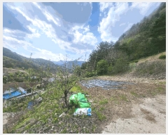  2025Ÿ��165  ���ð��