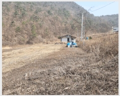  2025Ÿ��356 ���� ��â�� �渲�� �渲�� 88      ����(��1)���