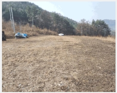  2025Ÿ��356 ���� ��â�� �渲�� �渲�� 88      ����(��1)���