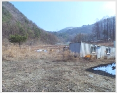  2025Ÿ��356 ���� ��â�� �渲�� �渲�� 88      ����(��1)���