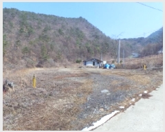  2025Ÿ��356 ���� ��â�� �渲�� �渲�� 88      ����(��1)���