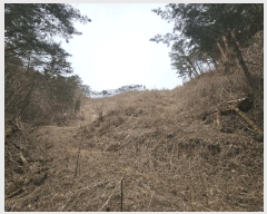  2025Ÿ��387  �Ӿ߰��