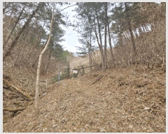  2025Ÿ��387  �Ӿ߰��