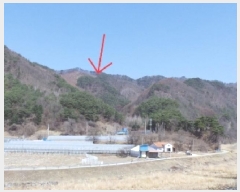  2025Ÿ��387  �Ӿ߰��