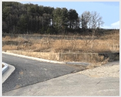  2025Ÿ��400  ���������