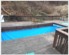  2025Ÿ��547  ���(ķ����)���