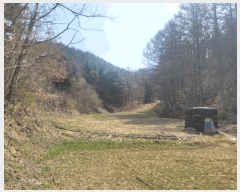  2025Ÿ��561 ���� ��â�� ���θ� ������ 1603      ����(��1)���