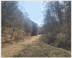  2025Ÿ��561 ���� ��â�� ���θ� ������ 1603      ����(��1)���