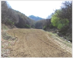  2025Ÿ��561 ���� ��â�� ���θ� ������ 1603      ����(��1)���