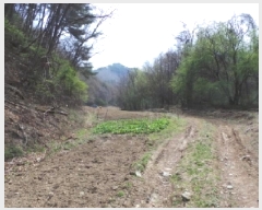  2025Ÿ��561 ���� ��â�� ���θ� ������ 1603      ����(��1)���