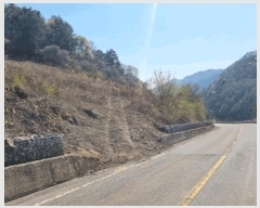  2025Ÿ��592 ���� ������ ���� ������ 49-2      ����(��1)���