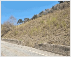  2025Ÿ��592 ���� ������ ���� ������ 49-2      ����(��1)���