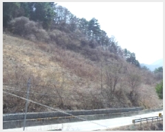  2025Ÿ��592 ���� ������ ���� ������ 49-2      ����(��1)���