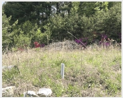  2025Ÿ��622 ���� ������ ���������� ���︮ 636      ����(��1)���