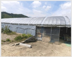  2025Ÿ��721  ������