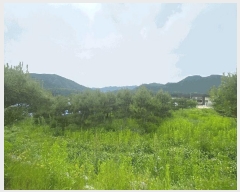  2025Ÿ��783  �����