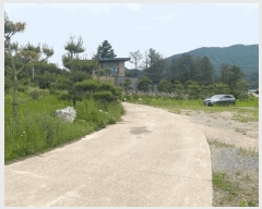  2025Ÿ��783  �����