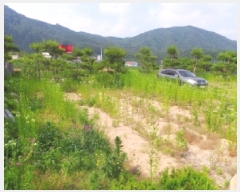  2025Ÿ��783  �����