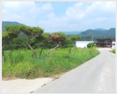  2025Ÿ��783  �����