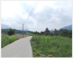  2025Ÿ��783  �����