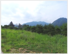  2025Ÿ��783  �����