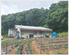  2025Ÿ��912 ���� ��â�� ��ȭ�� ��ȭ�� 1573-2      ���ð��