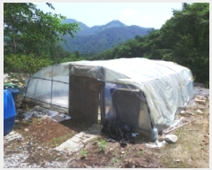  2025Ÿ��912 ���� ��â�� ��ȭ�� ��ȭ�� 1573-2      ���ð��