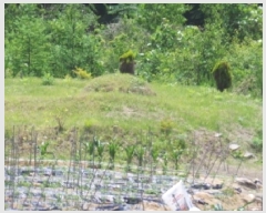  2025Ÿ��912 ���� ��â�� ��ȭ�� ��ȭ�� 1573-2      ���ð��