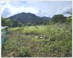  2025Ÿ��943 ���� ��â�� ��â�� ������ 255      ����(��1)���