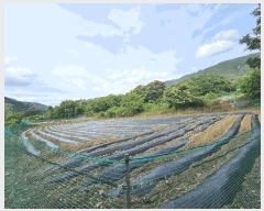  2025Ÿ��943 ���� ��â�� ��â�� ������ 255      ����(��1)���