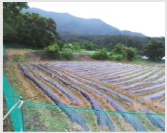  2025Ÿ��943 ���� ��â�� ��â�� ������ 255      ����(��1)���