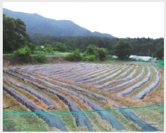  2025Ÿ��943 ���� ��â�� ��â�� ������ 255      ����(��1)���