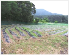  2025Ÿ��943 ���� ��â�� ��â�� ������ 255      ����(��1)���