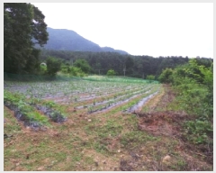  2025Ÿ��943 ���� ��â�� ��â�� ������ 255      ����(��1)���