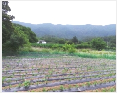  2025Ÿ��943 ���� ��â�� ��â�� ������ 255      ����(��1)���