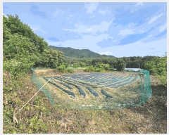  2025Ÿ��943 ���� ��â�� ��â�� ������ 255      ����(��1)���