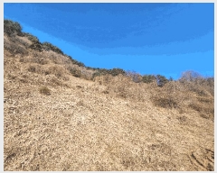  2025Ÿ��1120  �����